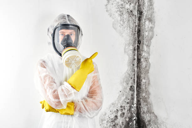 Best Mold Removal for HVAC Installations  in Cotulla, TX